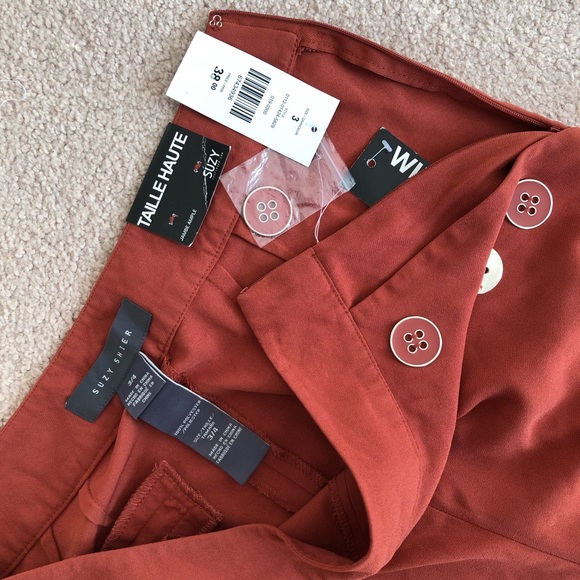 Terracotta Wide-Legged High-Waisted Dressy Pants - Picture 3 of 5